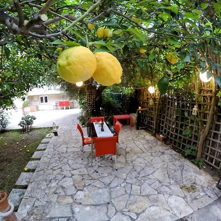 Διαμέρισμα σπίτι στο πατρών με κήπο - Detached House In With Garden *