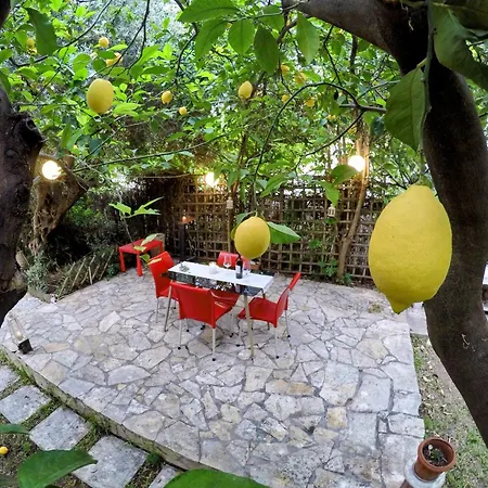Διαμέρισμα σπίτι στο πατρών με κήπο - Detached House In With Garden